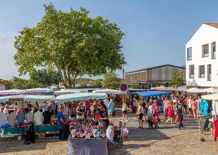 Holiday home Maison Avec Piscine, Tennis A 300m De La - 2 Chambres, Terrasse Et Parking Prive - Fr-1-231-267